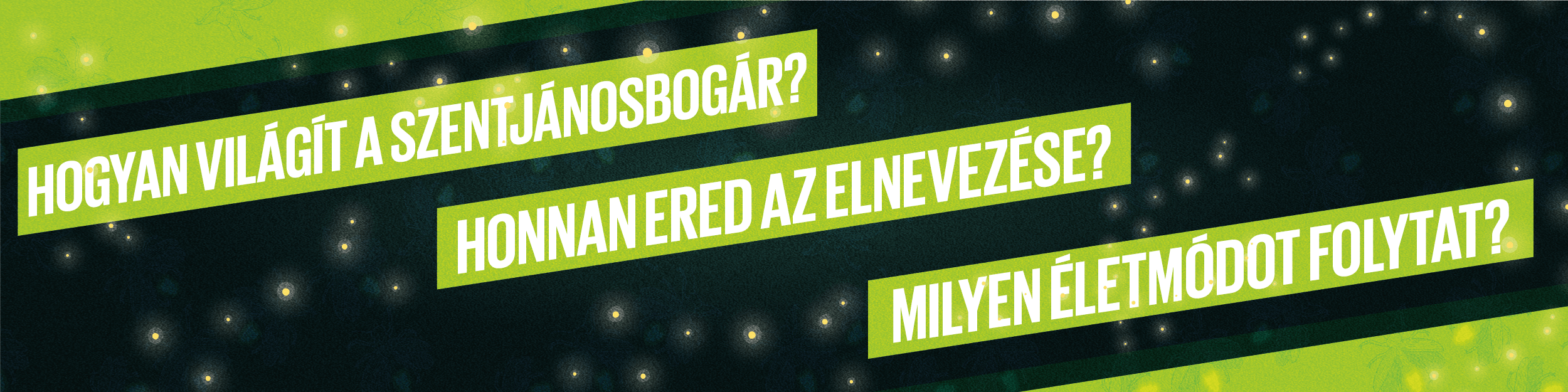 Hogyan világít a Szentjánosbogár?